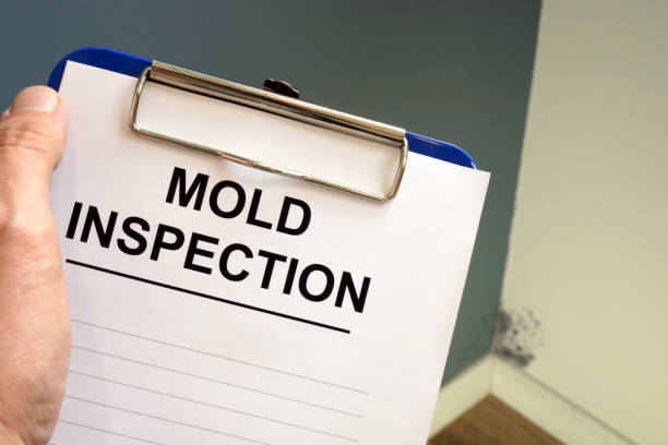 Best Industrial Mold Remediation  in Princevle, IL